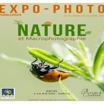 Exposition : "Nature et Macrophotographie" par Olivier Laurent