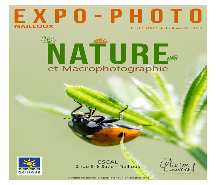 Exposition : "Nature et Macrophotographie" par Olivier Laurent