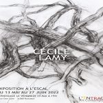 Exposition : Cécile Lamy