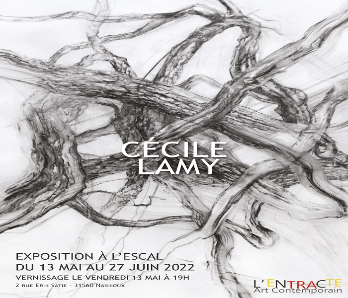 Exposition : Cécile Lamy