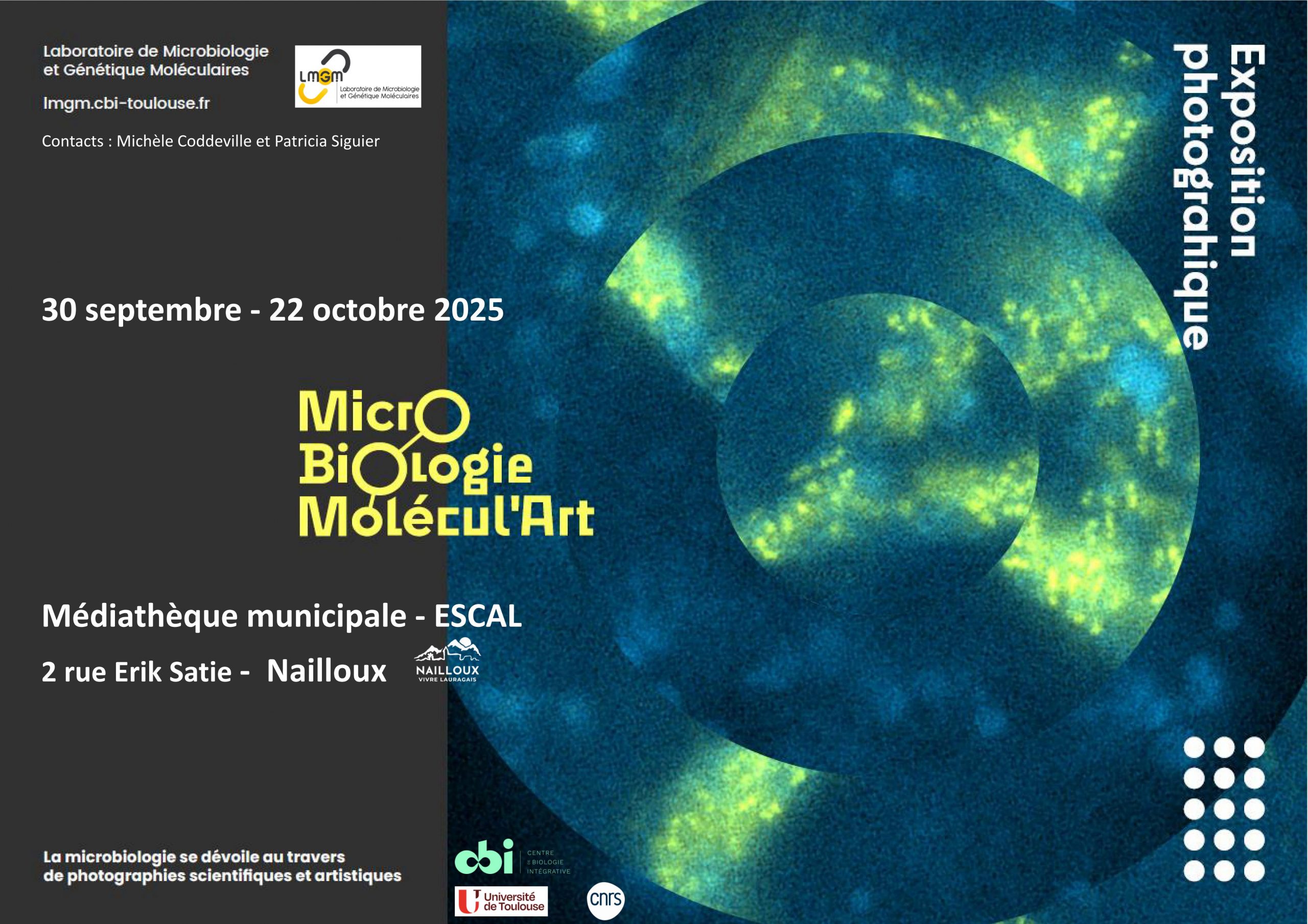 Exposition : Microbiologie Molécul'Art par le Laboratoire de microbiologie et génétique