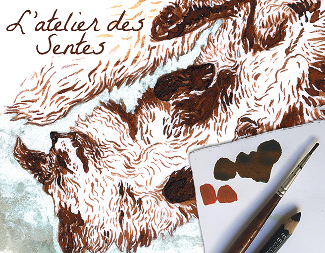 Atelier de dessin : explorer les formes du vivant